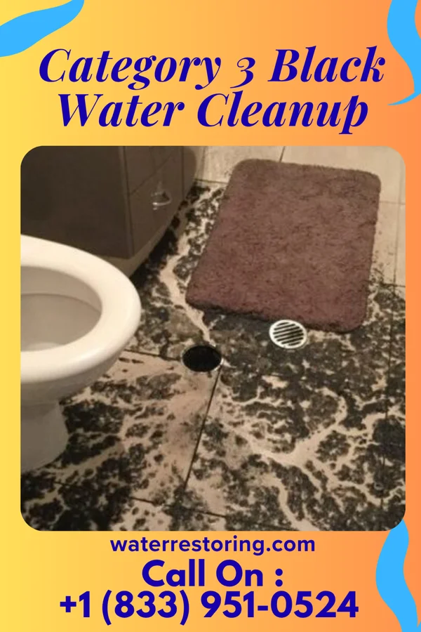 Category 3 Black Water Cleanup in Northwood, OH