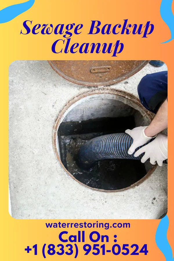 Sewage Backup Cleanup in Northwood, OH