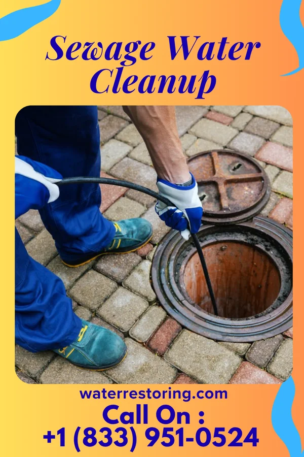 Sewage Water Cleanup in Northwood, OH