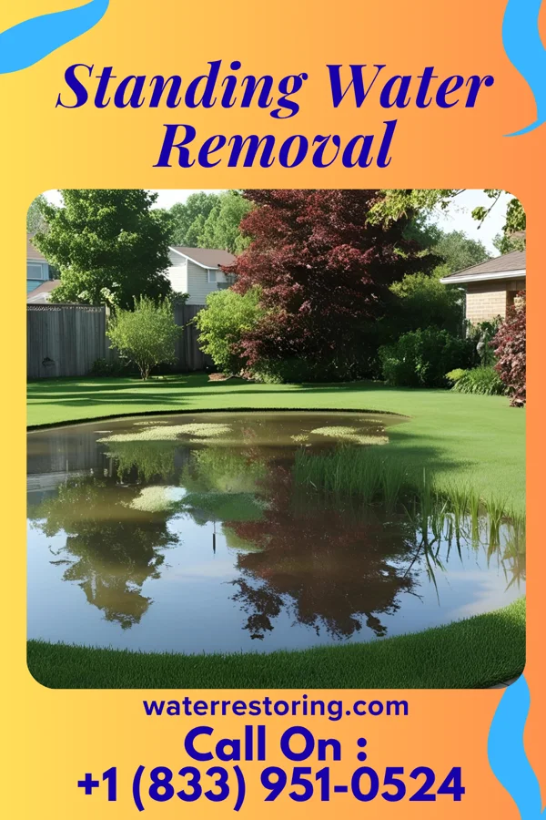 Standing Water Removal in Northwood, OH